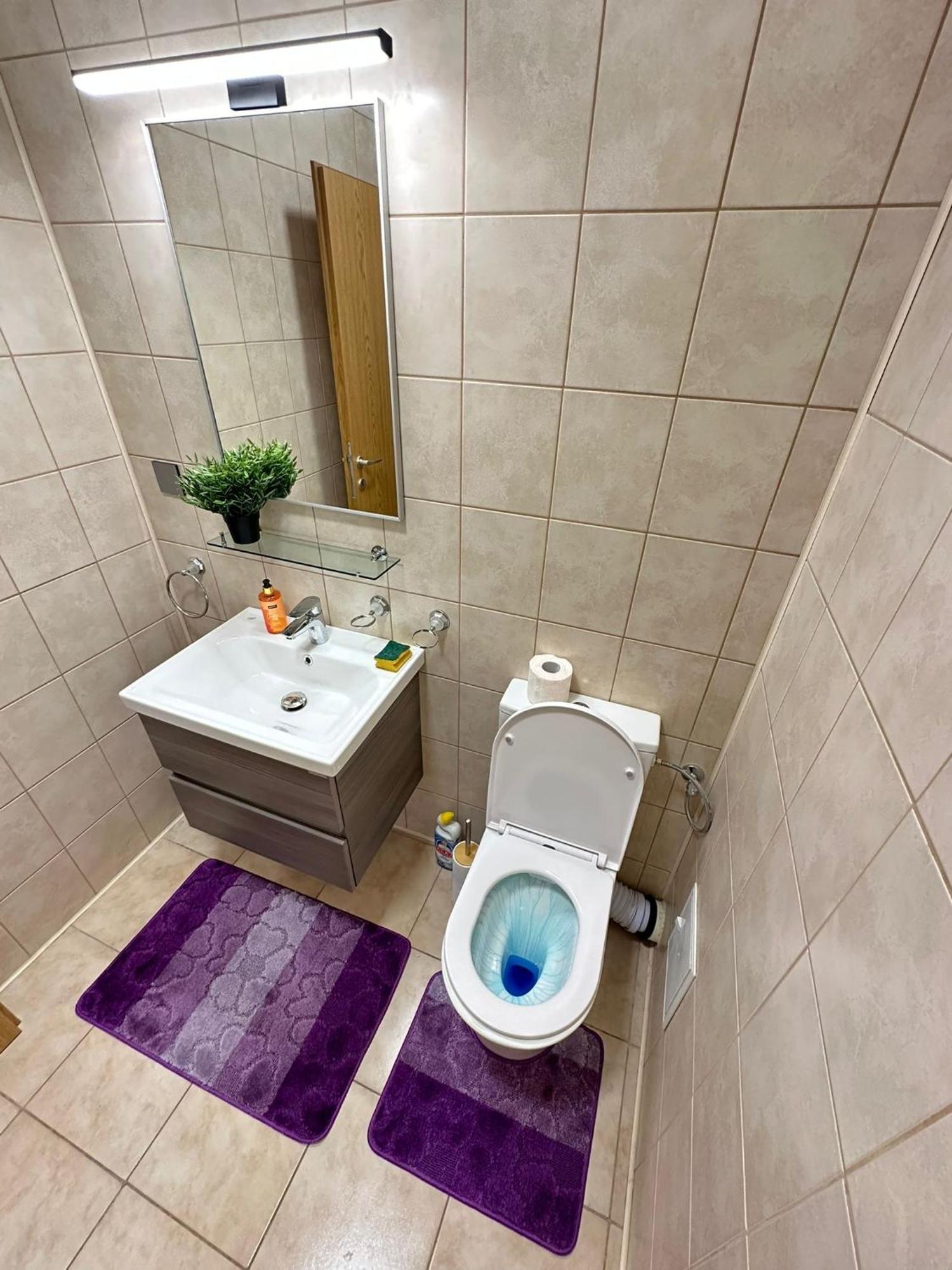 בוקרשט Centru Unirii Luxury Vip Palmier Apartament 2 Camere Cu Terasa Exterioara Amenajata ! Parcare Subterana Privata Climatizata Si Supravegheata Video Dar Doar Cu Rezervare In Limita Locurilor Disponibile !Proprietate In Regim Hoteliep - Nu Are Bucatarie מראה חיצוני תמונה