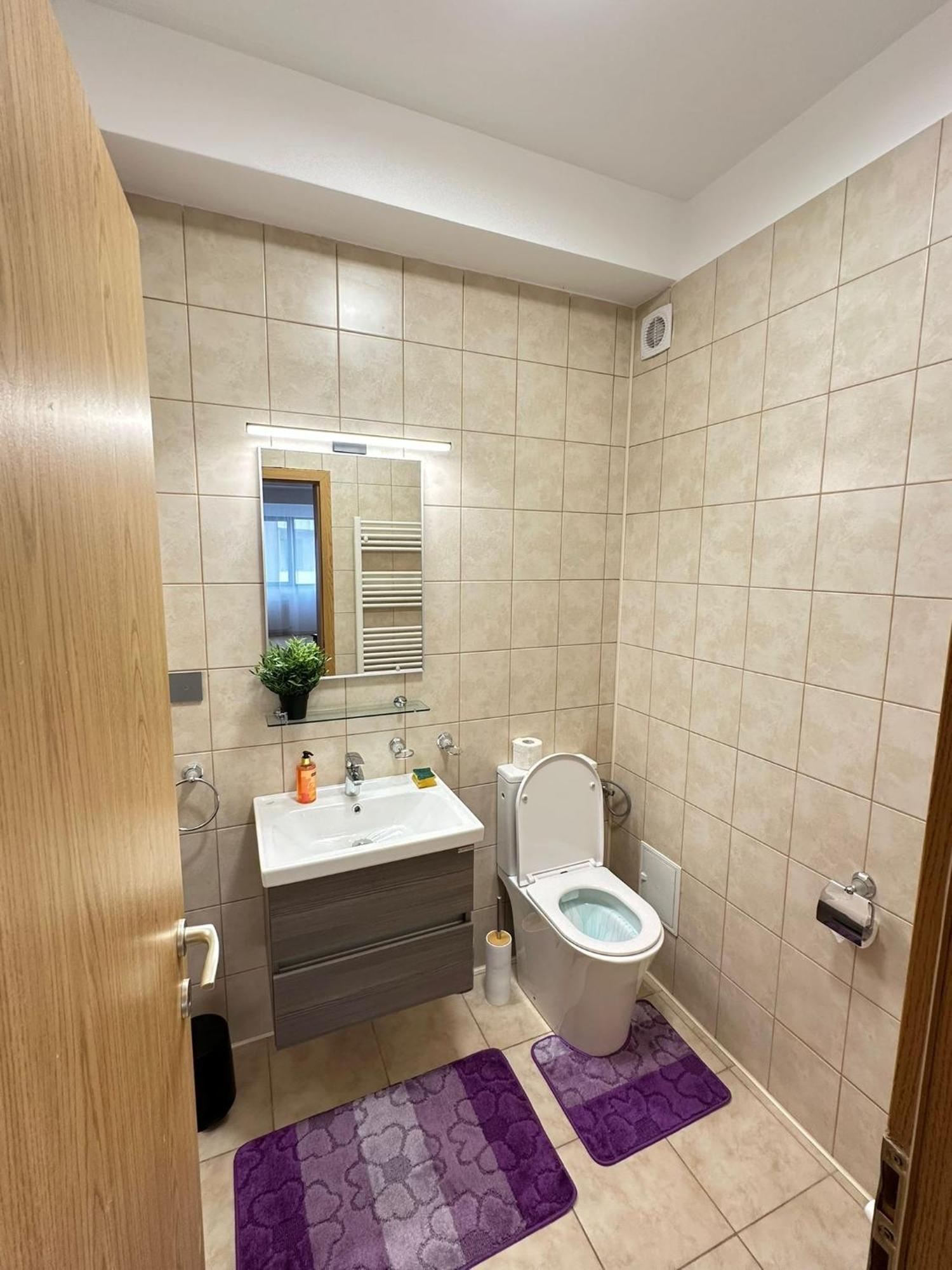בוקרשט Centru Unirii Luxury Vip Palmier Apartament 2 Camere Cu Terasa Exterioara Amenajata ! Parcare Subterana Privata Climatizata Si Supravegheata Video Dar Doar Cu Rezervare In Limita Locurilor Disponibile !Proprietate In Regim Hoteliep - Nu Are Bucatarie מראה חיצוני תמונה